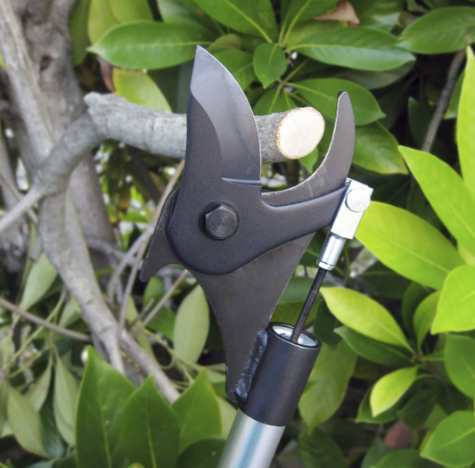 Déstockage -50 % - Sécateur d'arbre CI
