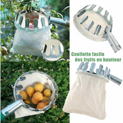 Cueilleur de fruits